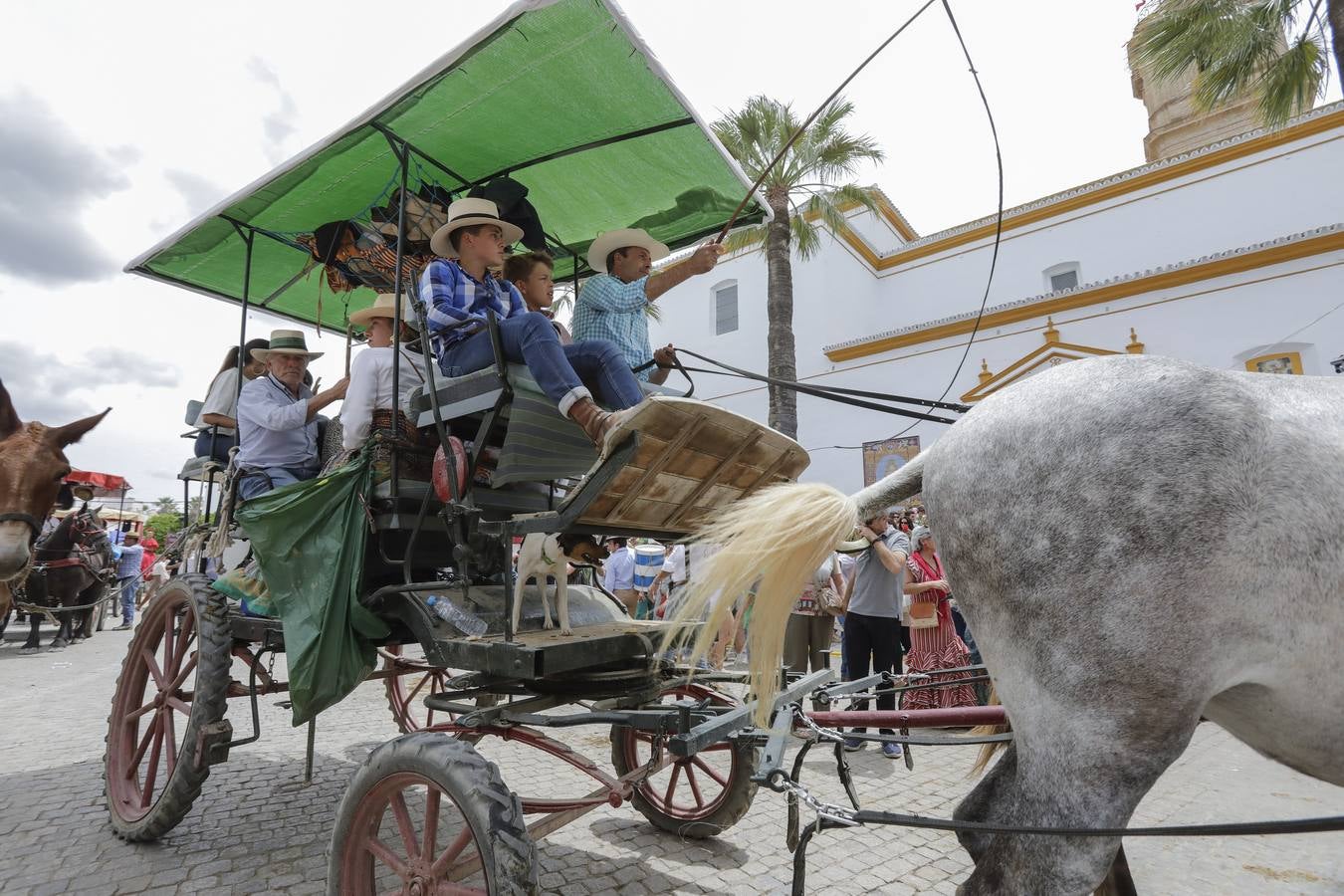 Hermandad de Mairena del Aljarafe. RAÚL DOBLADO