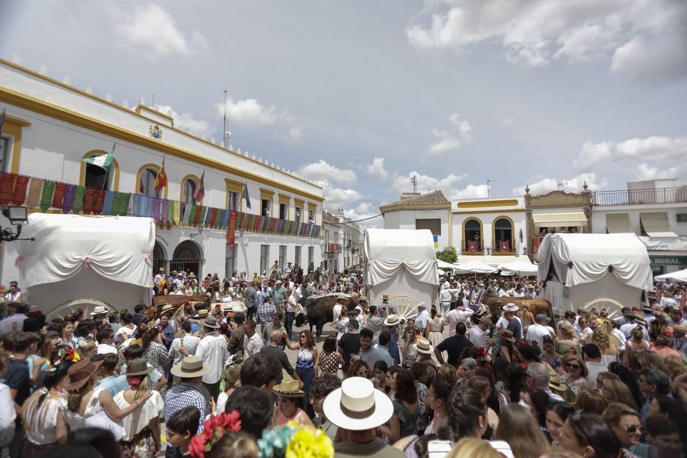 Hermandad de Coria del Río. RAÚL DOBLADO