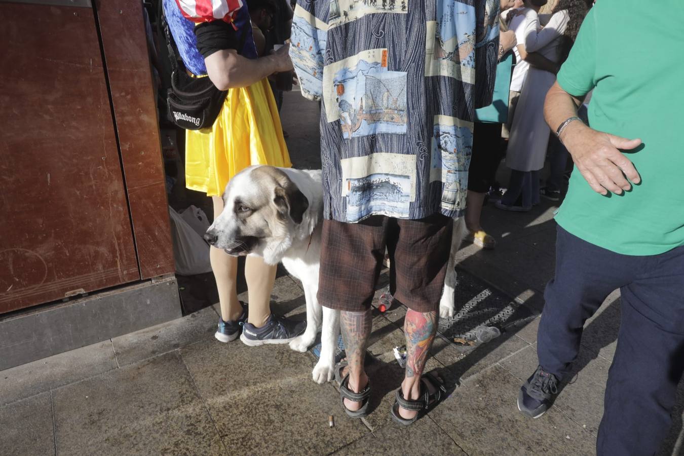 Fotos: Ambiente de Sábado de Carnaval 2022