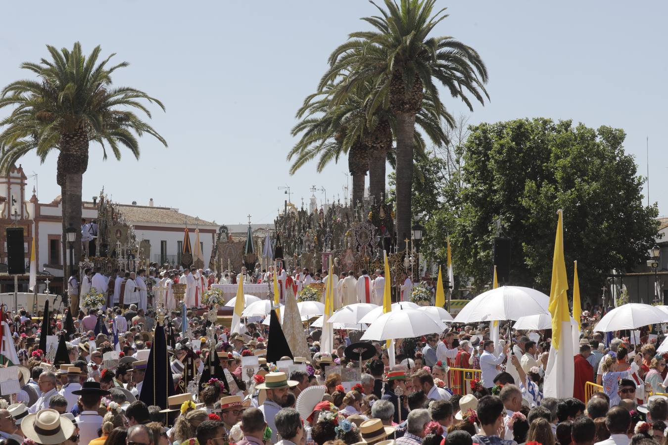 Las imágenes de la Misa de Pentecostés en el Rocío 2022