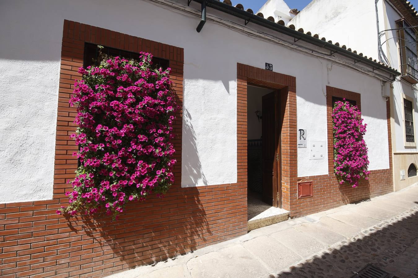 Así es el patio ganador del Premio ABC en Córdoba, en imágenes