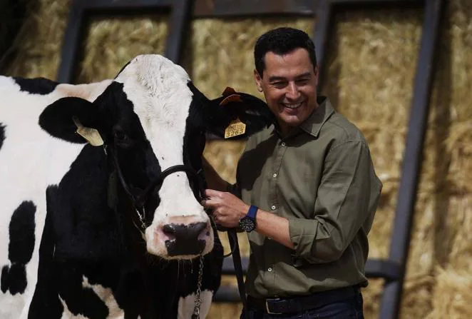 El reencuentro de Juanma Moreno con su vaca &#039;talismán&#039; en Añora, en imágenes