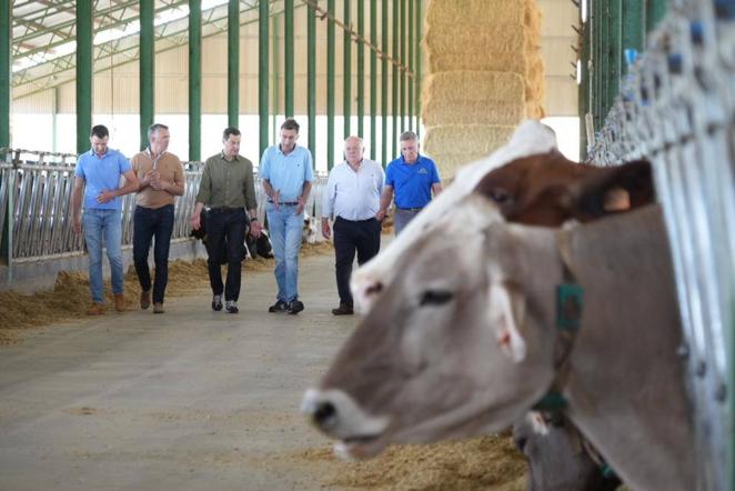 El reencuentro de Juanma Moreno con su vaca &#039;talismán&#039; en Añora, en imágenes