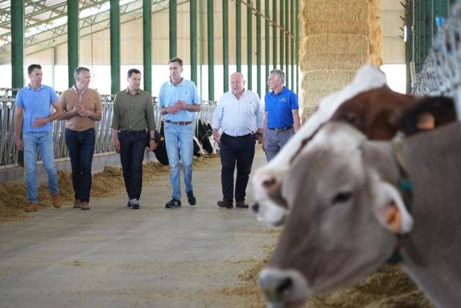 El reencuentro de Juanma Moreno con su vaca &#039;talismán&#039; en Añora, en imágenes