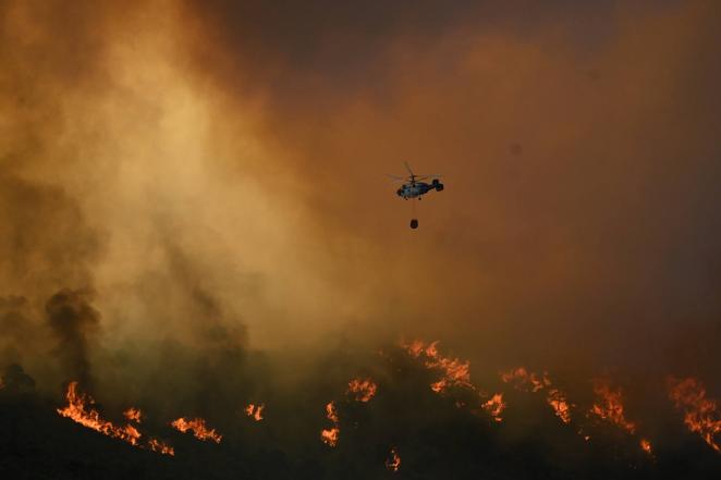 Incendio forestal en Pujerra (Málaga)