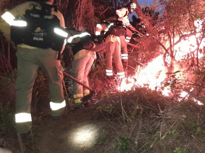 Incendio forestal en Pujerra (Málaga)