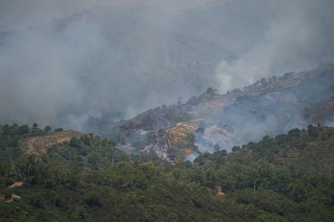 Incendio forestal en Pujerra (Málaga)