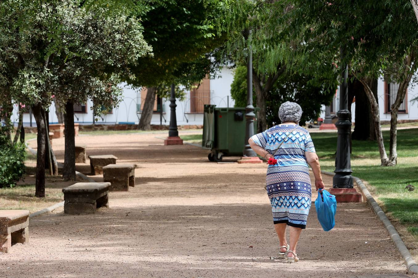 La vida en Montoro bajo el calor intenso, en imágenes