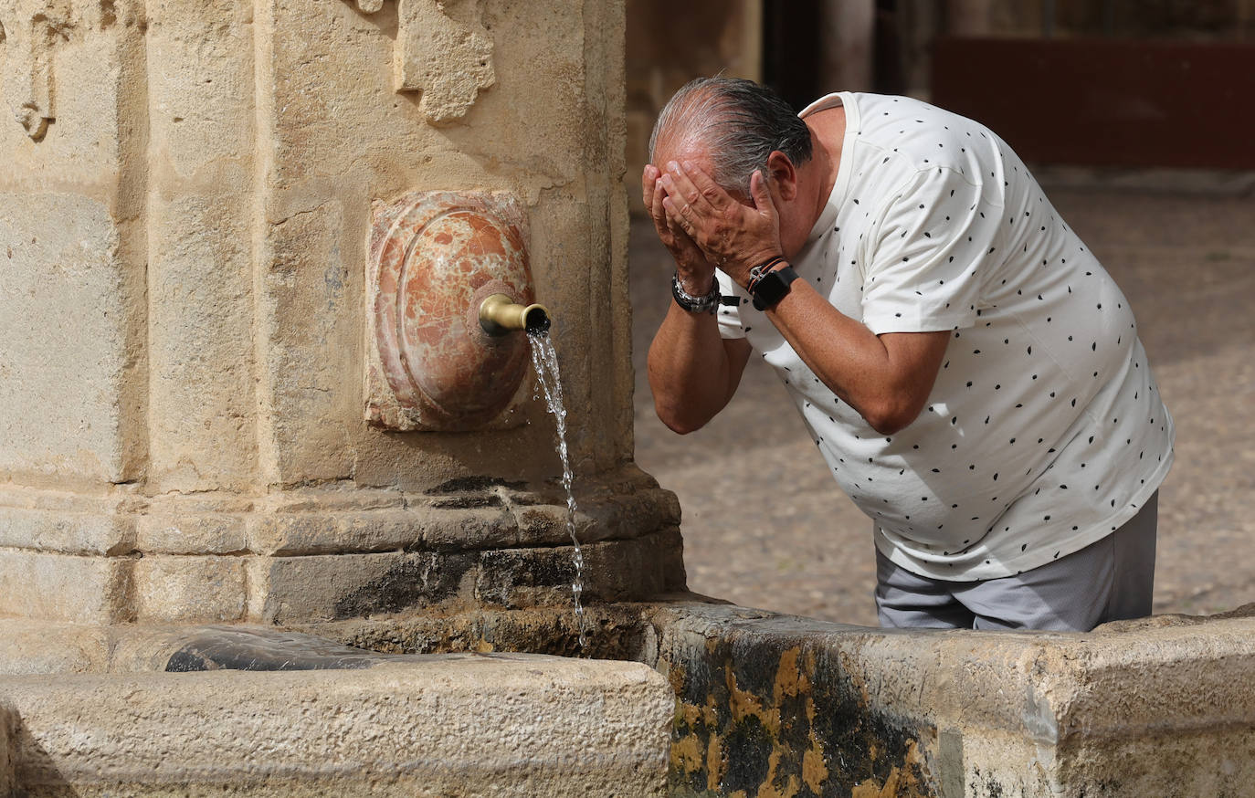 Los estragos de la ola de calor en Córdoba, en imágenes