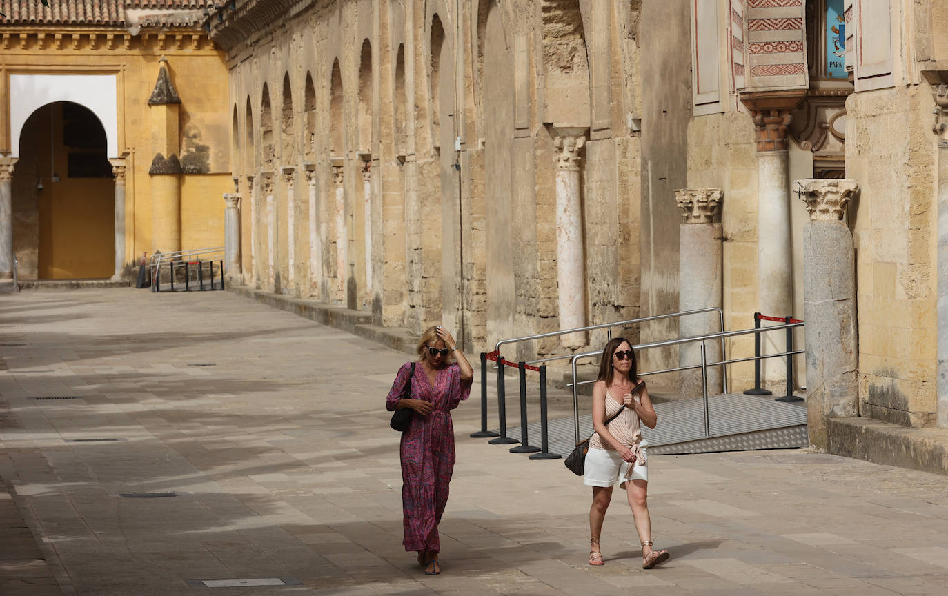 Los estragos de la ola de calor en Córdoba, en imágenes