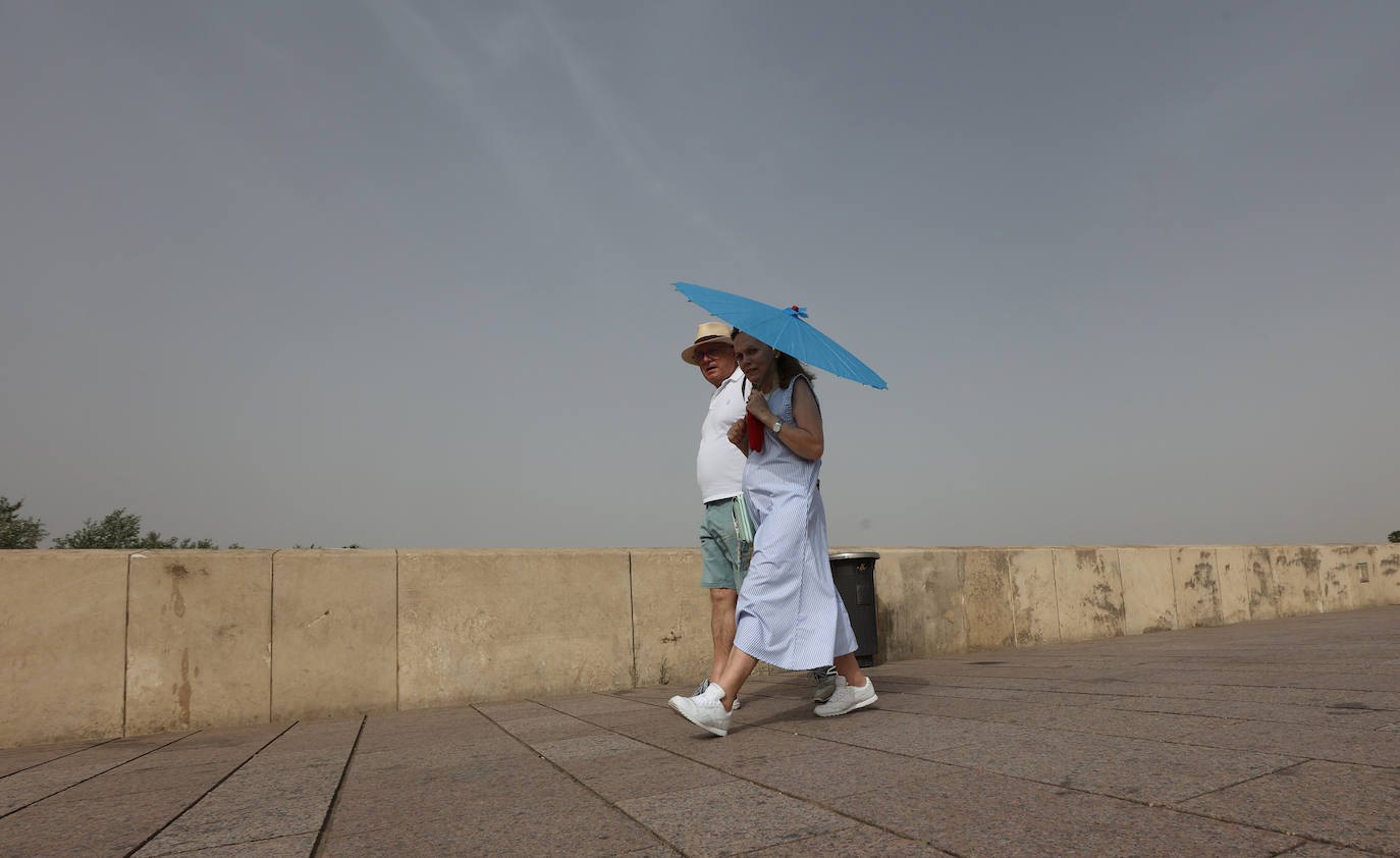 Los estragos de la ola de calor en Córdoba, en imágenes