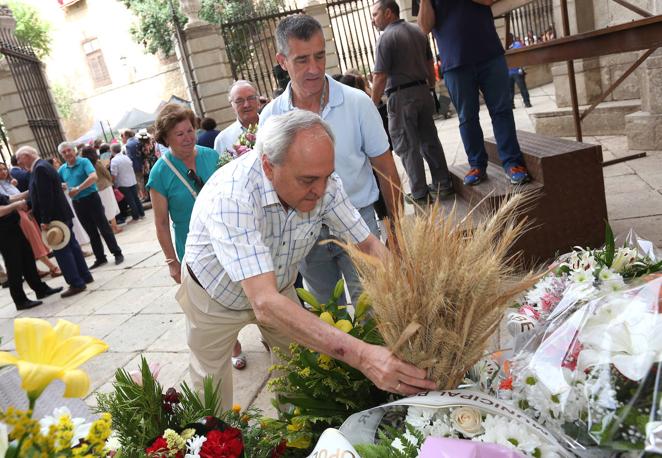 Todas las imágenes de la Ofrenda Floral
