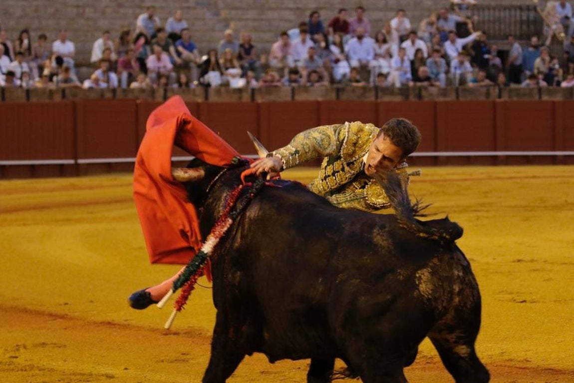 En imágenes, la novillada protagonizada por Emilio Silvera, Calerito y Daniel de la Fuente