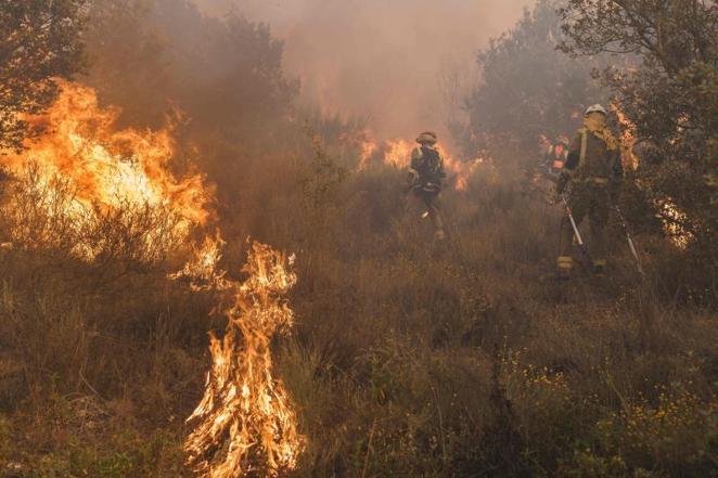 Las duras imágenes del incendio de Zamora