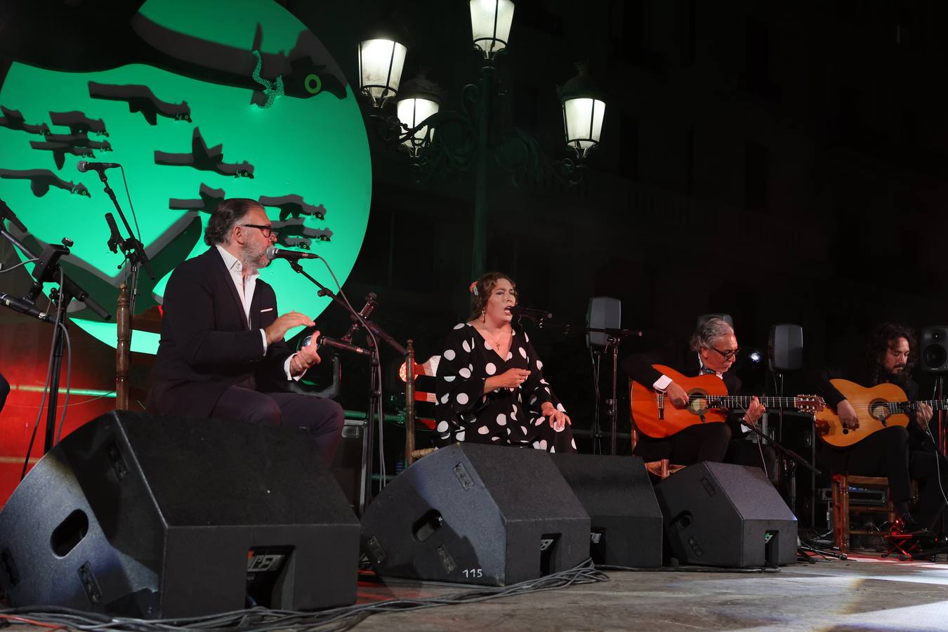 El recital de Estrella Morente en la Noche Blanca de Córdoba, en imágenes