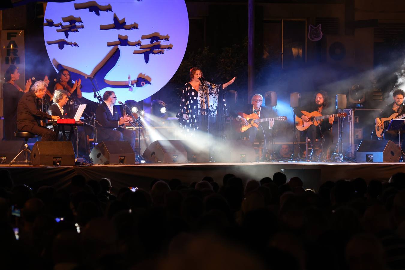 El recital de Estrella Morente en la Noche Blanca de Córdoba, en imágenes