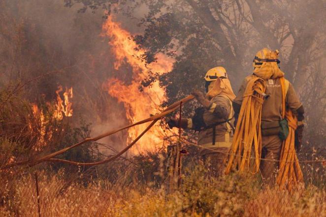 Las duras imágenes del incendio de Zamora