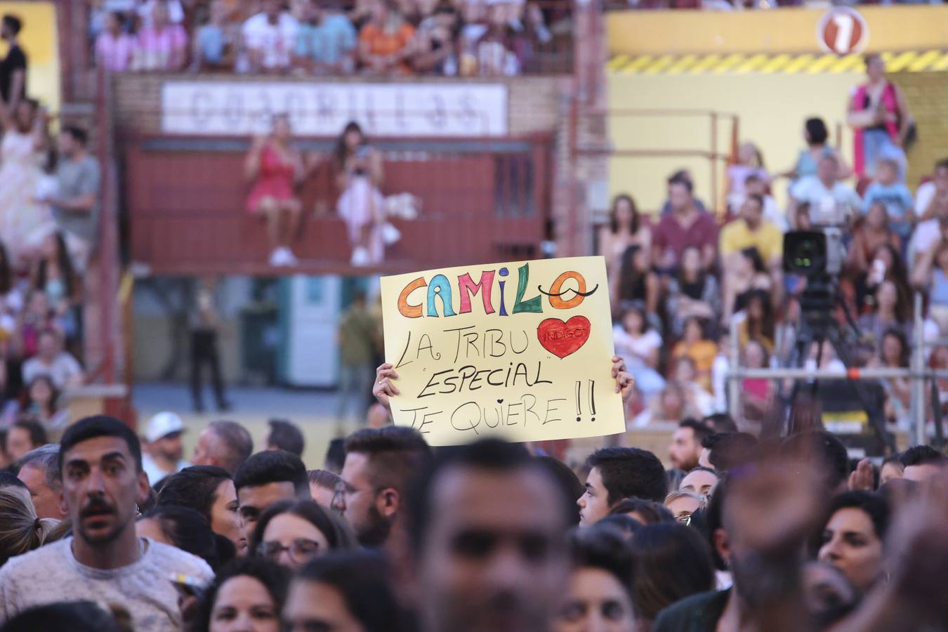 El concierto de Camilo en Córdoba, en imágenes