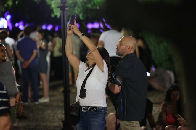 Las actuaciones de &#039;Farru&#039; y Dani de Morón en la Noche Blanca del Flamenco, en imágenes