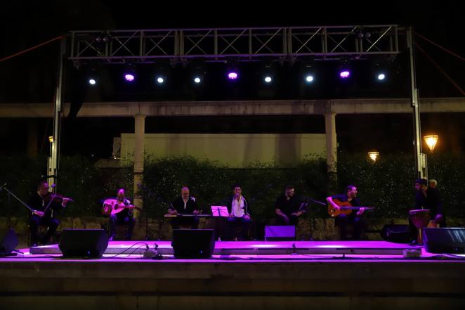 La Noche Blanca del Flamenco desde el Alcázar al Zoco y San Agustín, en imágenes