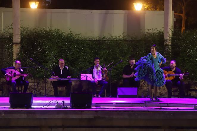 La Noche Blanca del Flamenco desde el Alcázar al Zoco y San Agustín, en imágenes