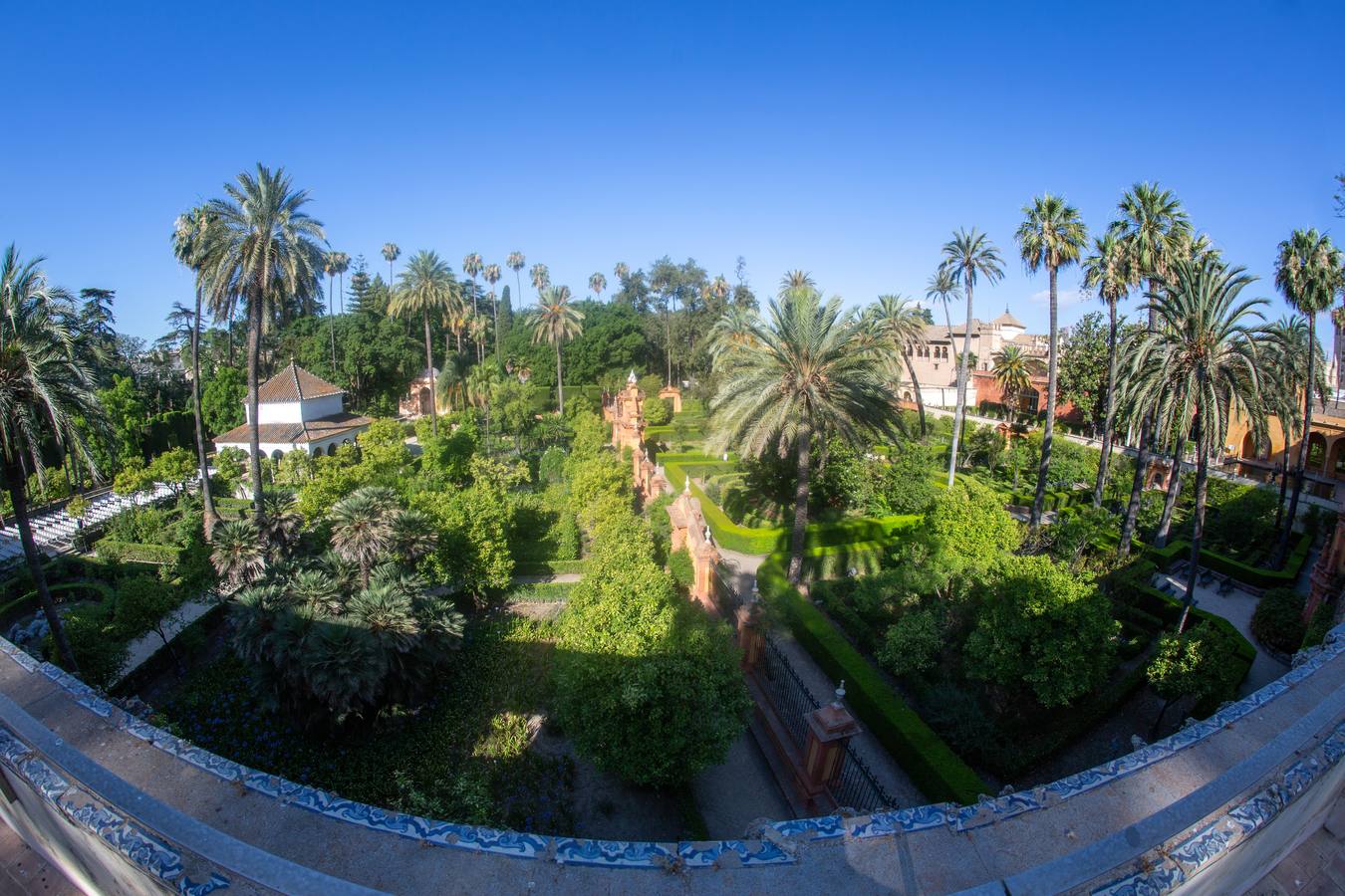 Nuevos espacios visitables que permiten perspectivas inéditas en el Alcázar