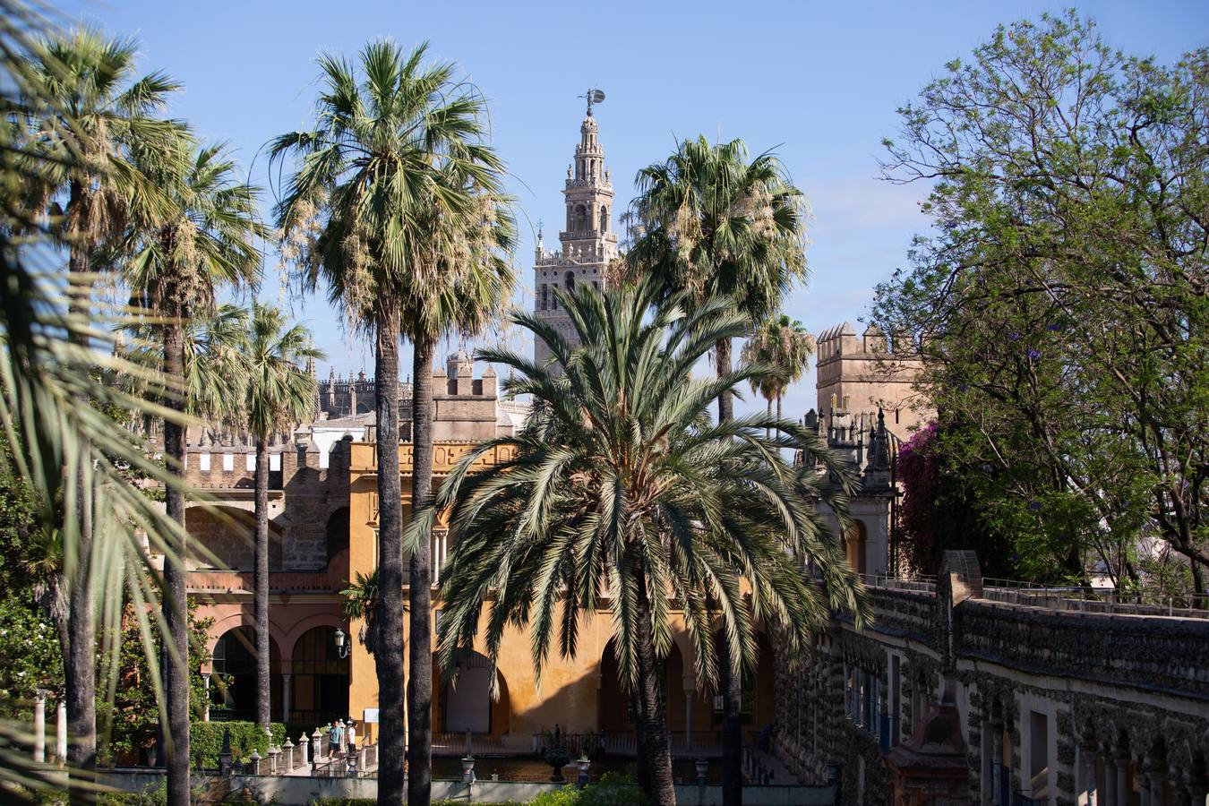 Nuevos espacios visitables que permiten perspectivas inéditas en el Alcázar