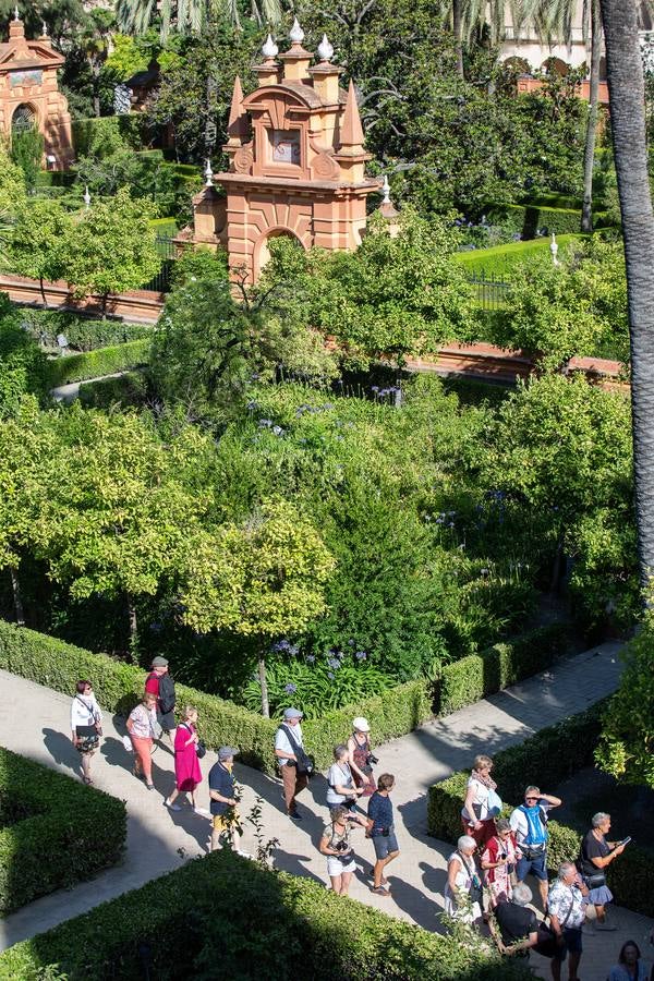 Nuevos espacios visitables que permiten perspectivas inéditas en el Alcázar