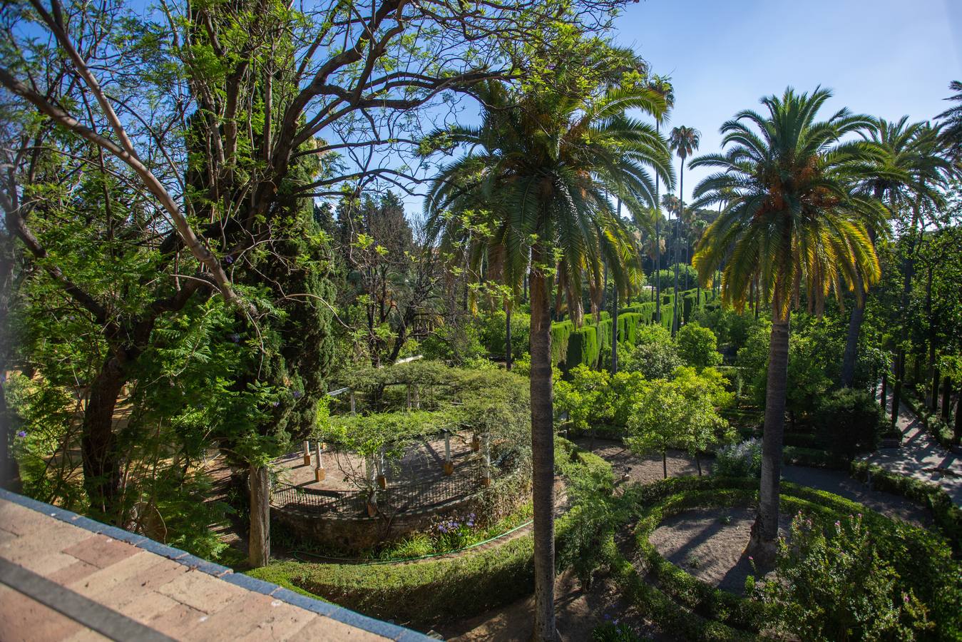 Nuevos espacios visitables que permiten perspectivas inéditas en el Alcázar