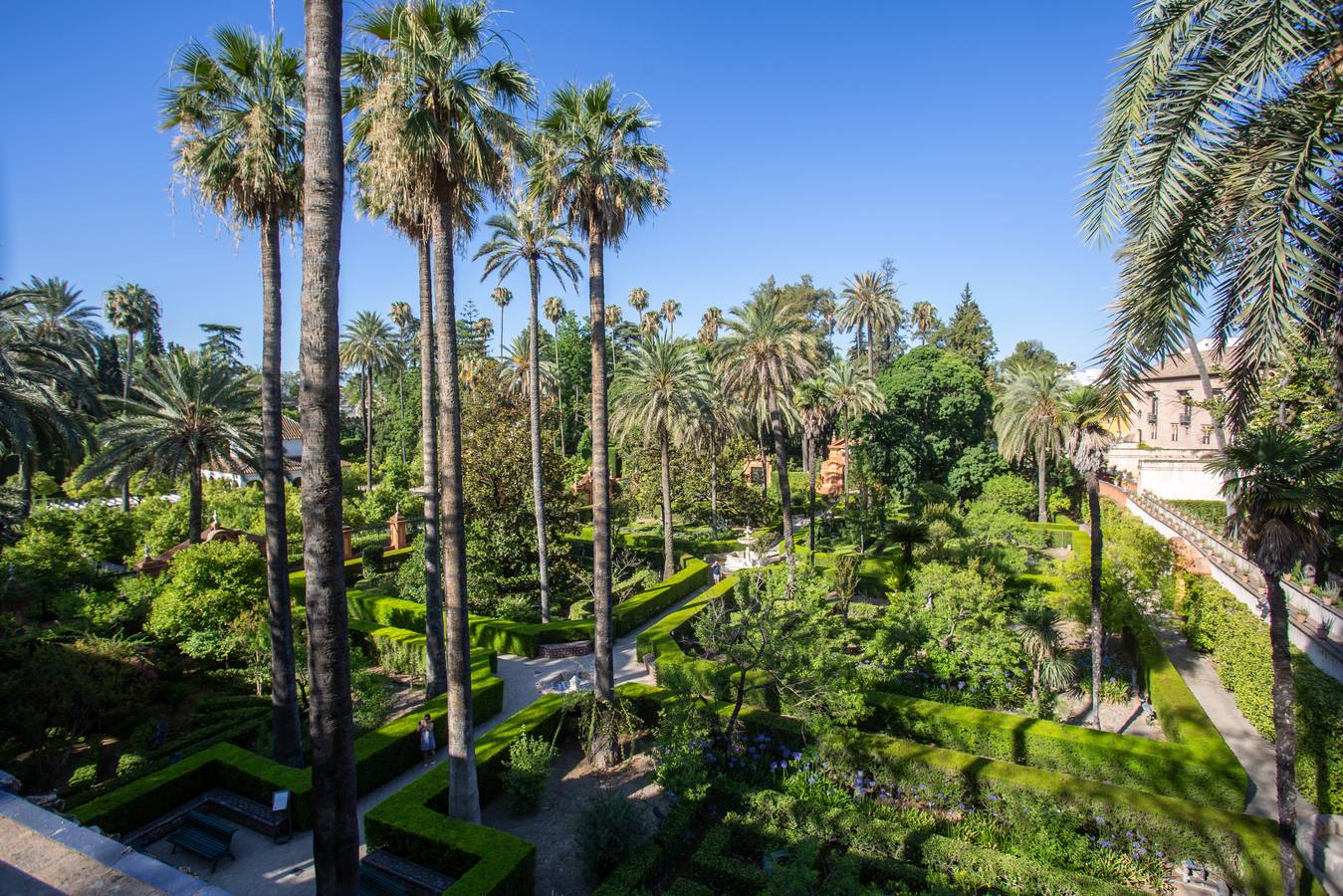 Nuevos espacios visitables que permiten perspectivas inéditas en el Alcázar