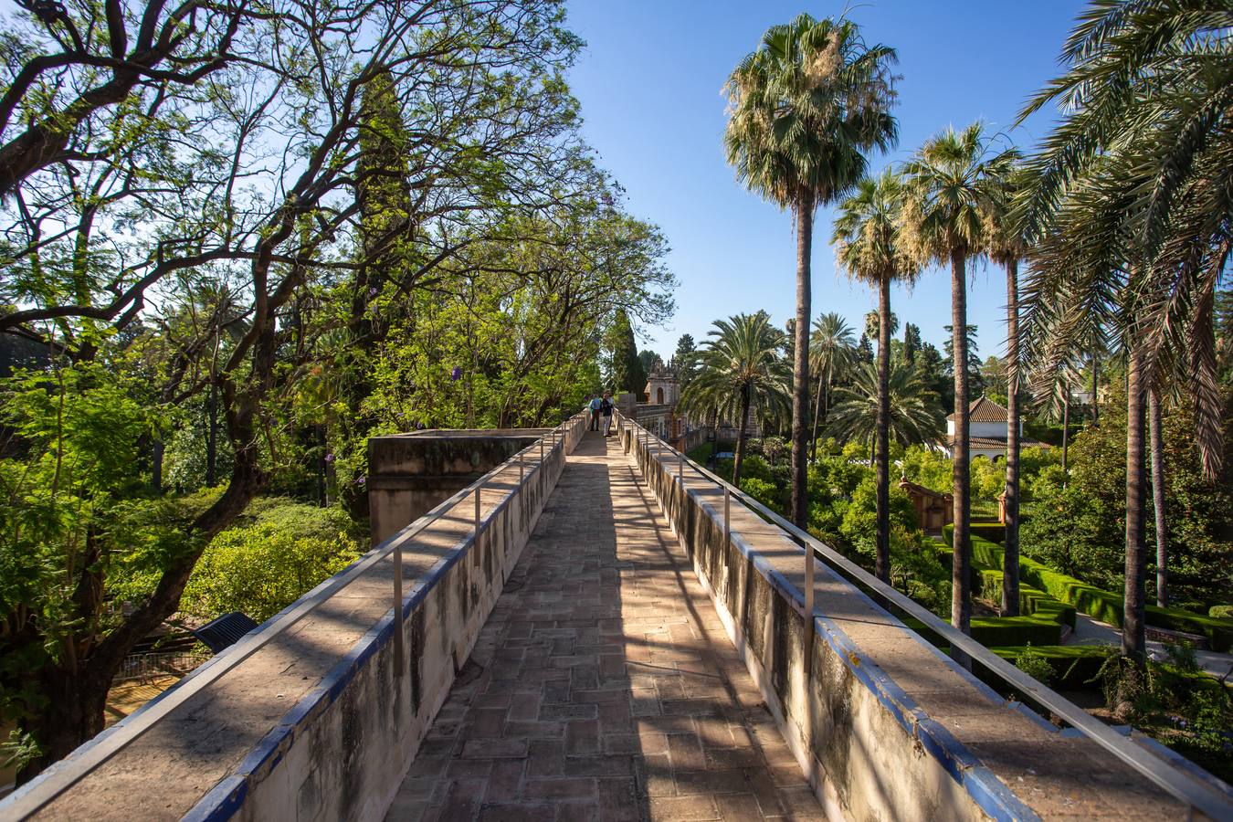 Nuevos espacios visitables que permiten perspectivas inéditas en el Alcázar