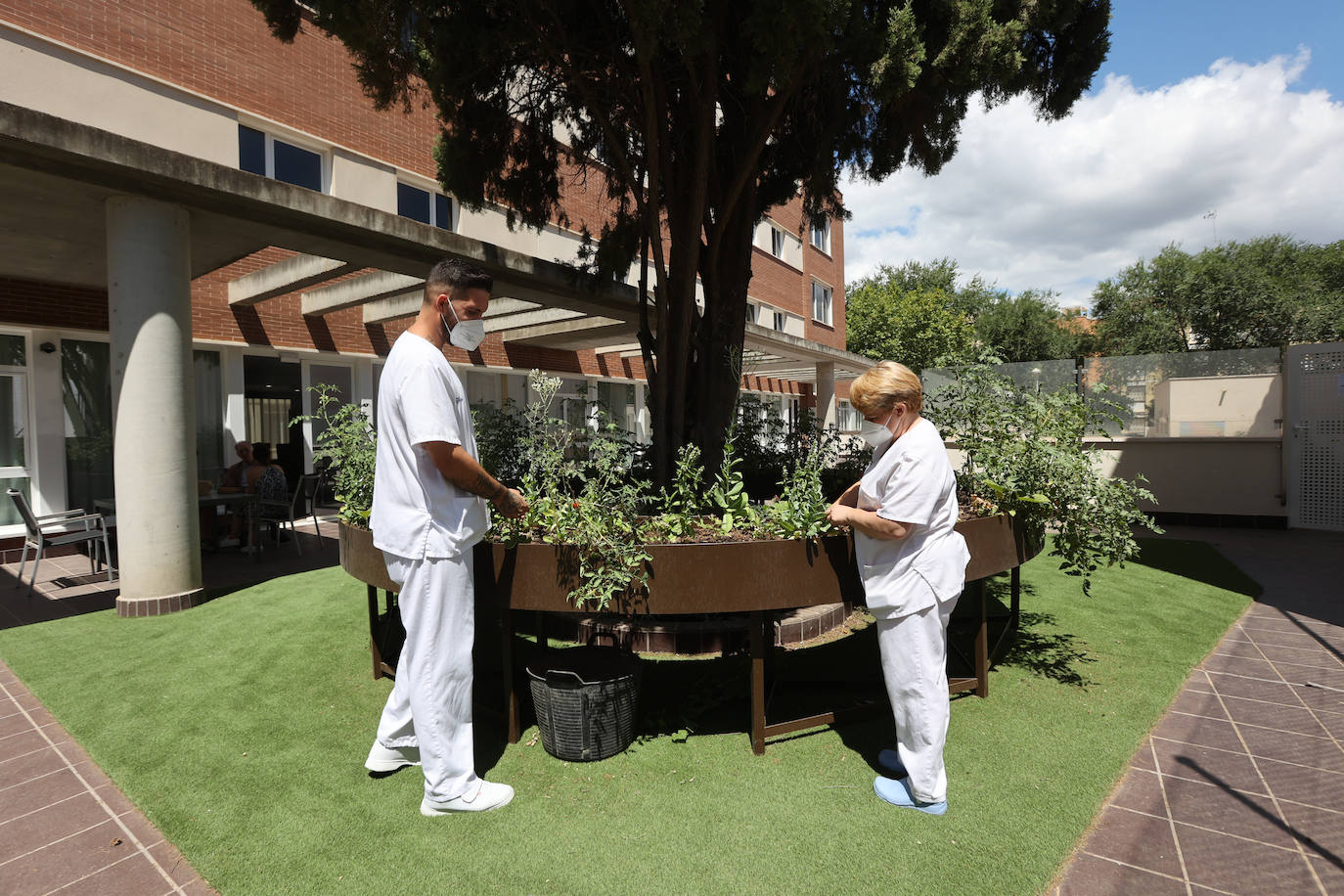 La jornada de puertas abiertas en Orpea Centro Córdoba, en imágenes