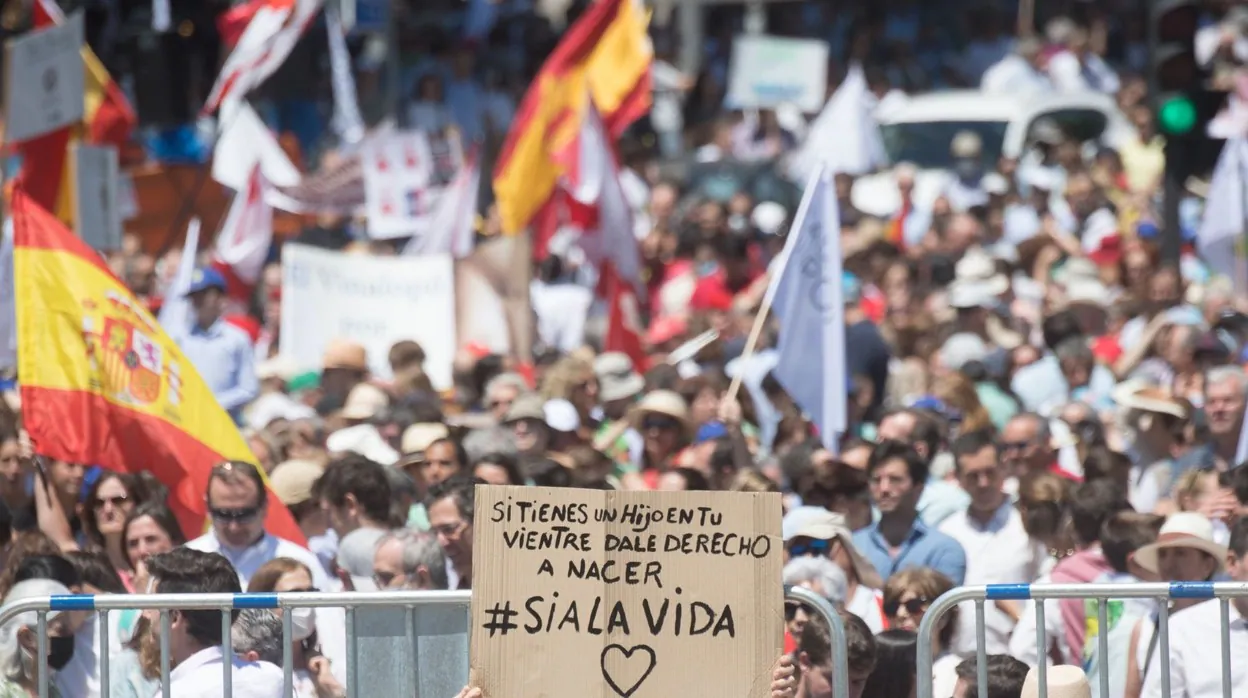 Fotogalería: masiva manifestación provida en Madrid