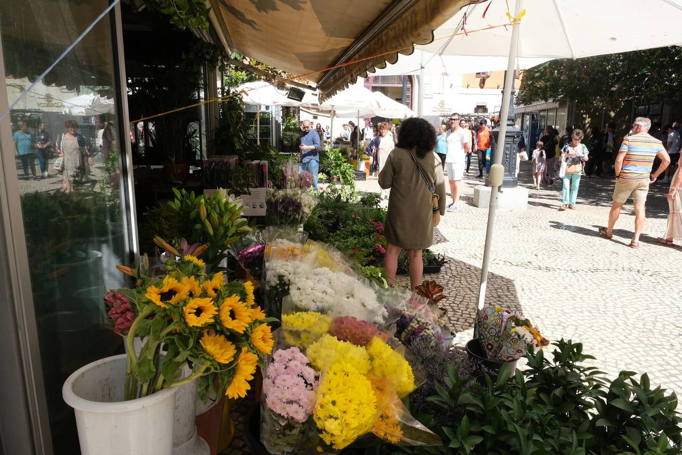 Fotos: El barrio de Cádiz centro, en imágenes