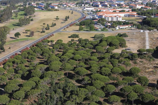 Las impresionantes imágenes de Cádiz y la Bahía desde un helicóptero militar