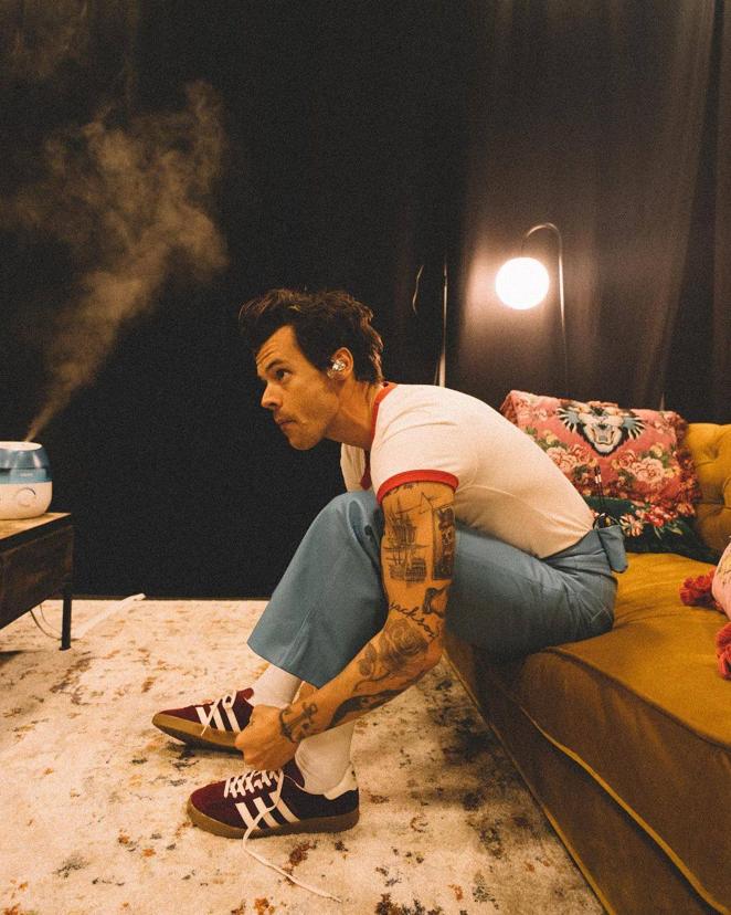 Los tatuajes de Harry Styles. Otro famoso que también cuenta con un buen número de tatuajes por todo su cuerpo es Harry Styles. El cantante y actor británico lleva diversos dibujos como un ancla, un barco, una rosa, una mariposa, una sirena, una estrella, una guitarra, un esqueleto, un corazón, la biblia... Pero también se ha tatuado las fechas de nacimiento de sus padres, el nombre de su ahijado Jackson, diversas iniciales, la palabra Pingu, etc.