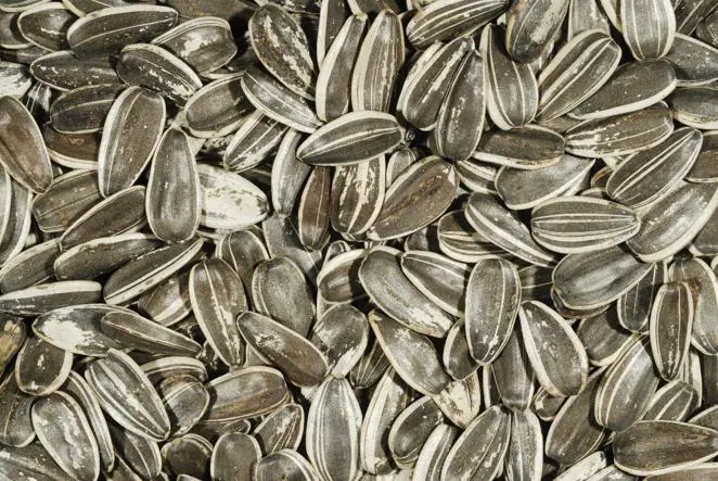 Pipas. ¿Sabías que comer semillas de girasol aporta calcio a tu organismo? Una cucharada de pipas equivale a unos 65 mg aproximadamente.