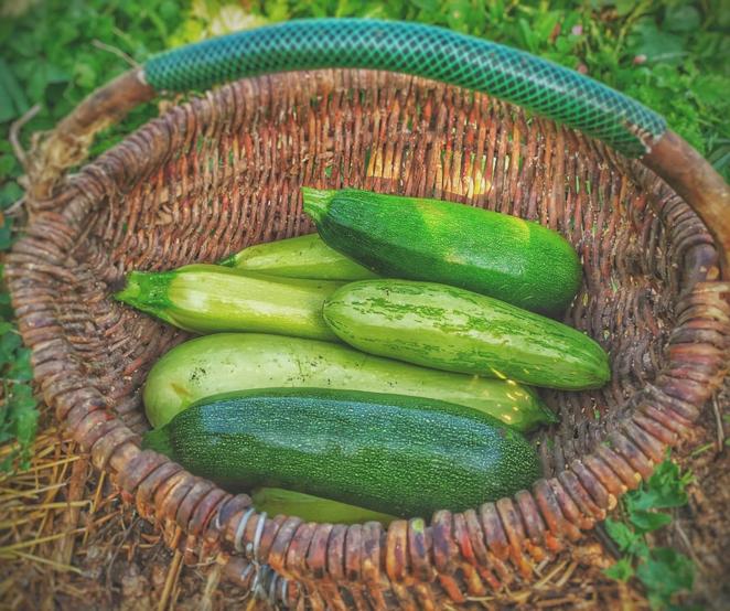 Calabacín. Al igual que la calabaza, el calabacín en una opción fantástica para hacer <a href="https://www.lavozdigital.es/familia/vida-sana/abci-recetas-gazpachos-colores-para-sorprender-verano-201907041123_noticia.html" target="_blank">purés</a> cuando llega el frío. Por cada 100 gramos, su aporte calórico es de 17.