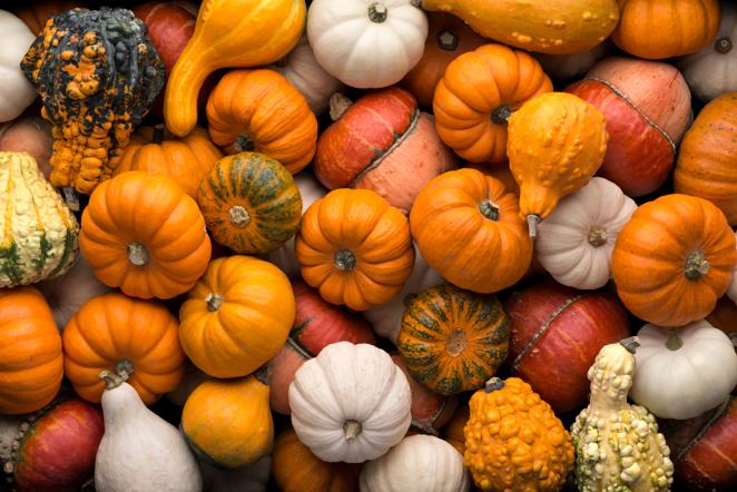 Calabaza. Llega el otoño y con él un millar de opciones para uno de los protagonistas de la temporada, la calabaza. Este vegetal solo tiene 14 calorías por cada 100 gramos.