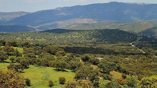 Vista del paisaje de Sierra Morena