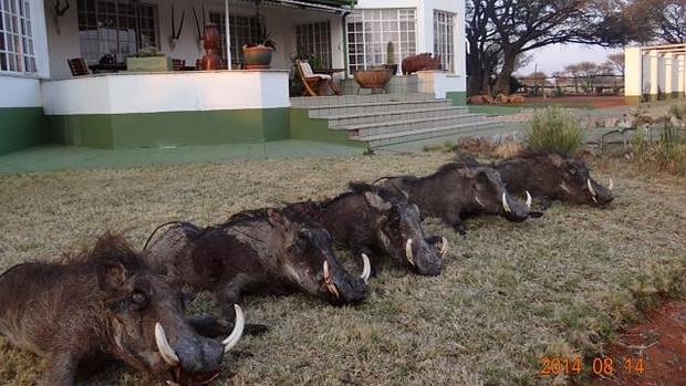 Instalaciones e la finca Hetaku, en Namibia