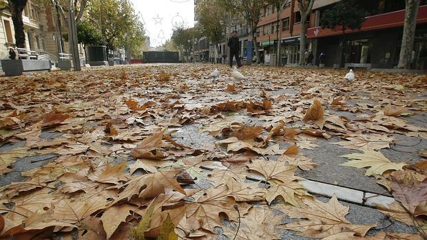 Las próximas dos semanas se presentan con un aspecto muy otoñal