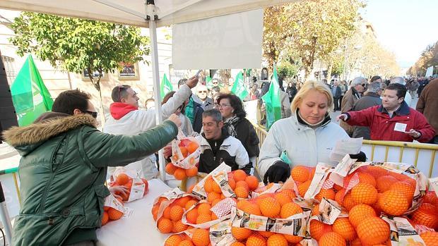 Naranjas en una campaña de agricultores