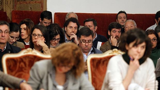 La mirada de Finito destacó ayer en el Pleno provincial