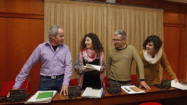 Grupo de Ganemos Córdoba en el Pleno