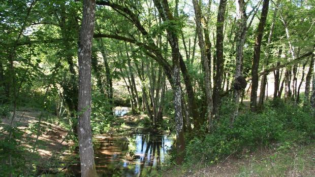 Cuatro senderistas, rescatados tras desorientarse en el arroyo Don Lucas