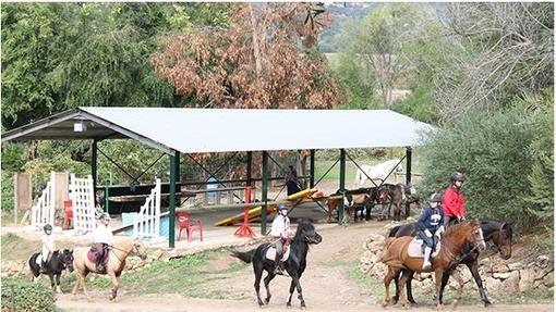 Actividades en el Ponyclub La Loma