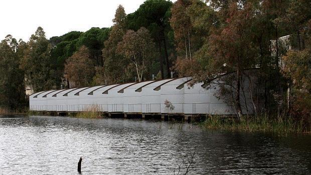 Aspecto de las cabañas bungaló construidas en el paraje de La Torerera