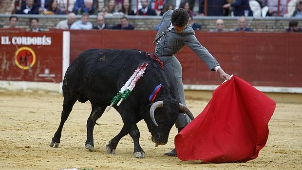 Marín durante la faena en Los Califas