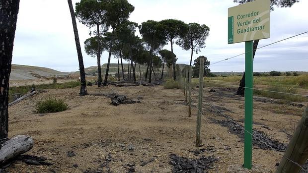 Corredor Verde del Guadiamar, producto de la recuperación de la zona afectada por la riada tóxica